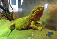 Океанариум Акварио ди Католика – Acquario di Cattolica Океанариум Акварио ди Католика – Acquario di Cattolica